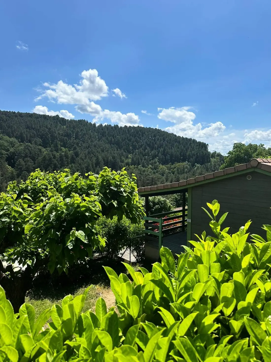 Ushuaïa Villages - Camping Les Pins d'Ucel 4 étoiles★★★★