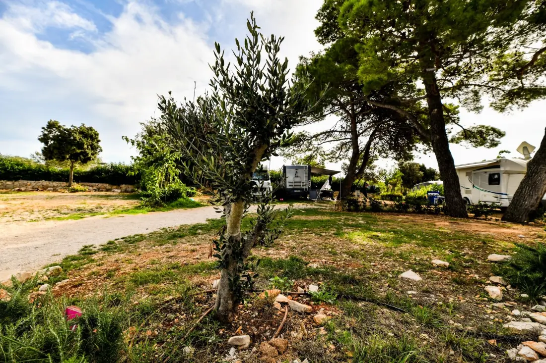 Camping Ugljan Resort 4 étoiles★★★★