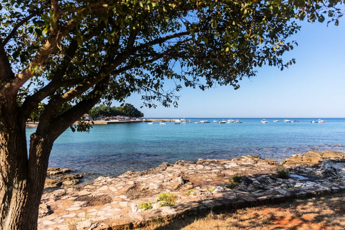 Camping Park Umag