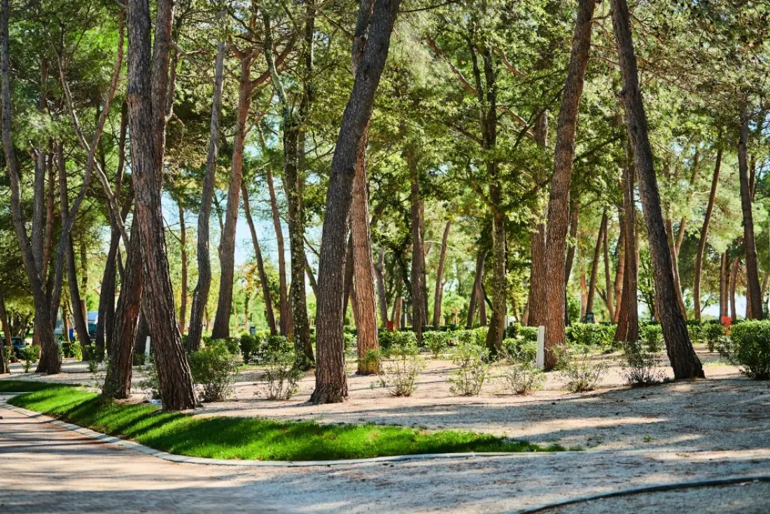 Camping Stella Maris4 étoiles★★★★