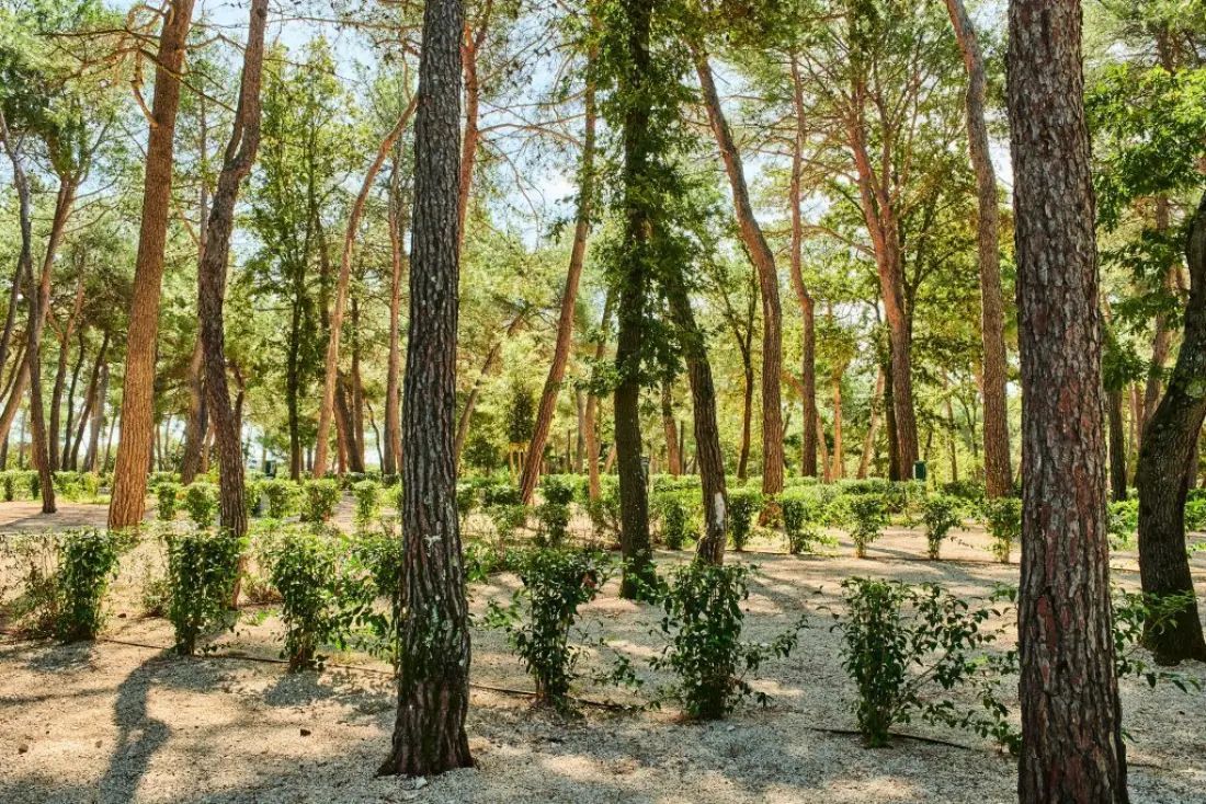 Camping Stella Maris4 étoiles★★★★
