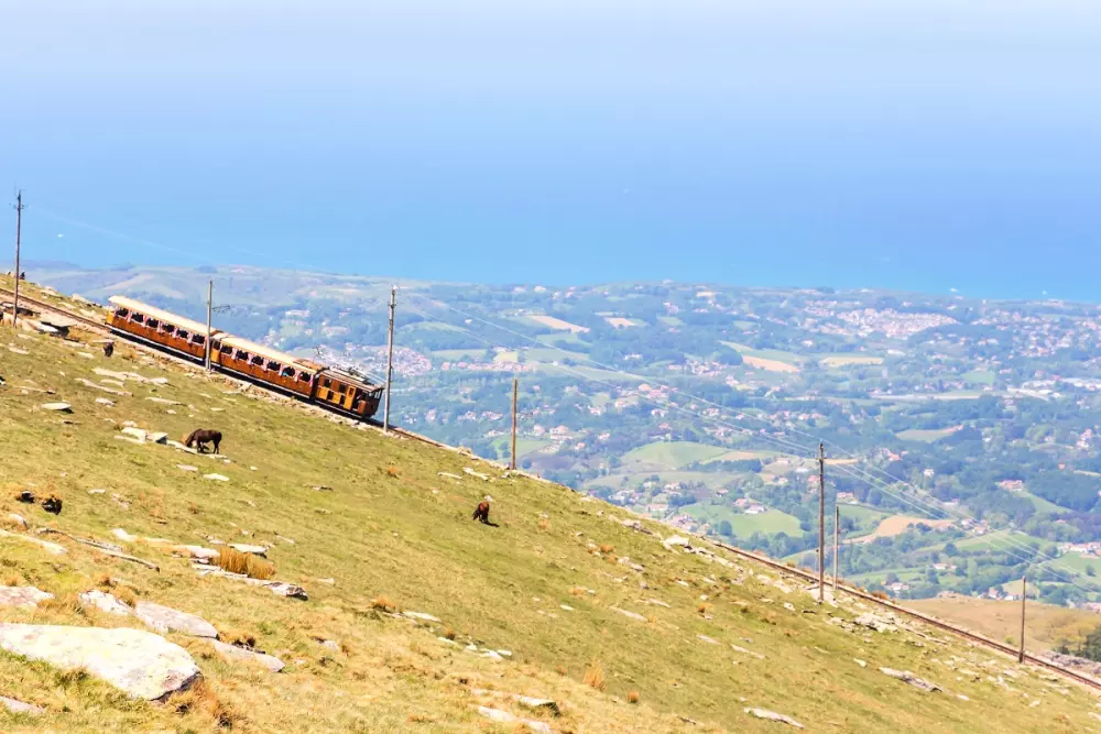 Camping Suhiberry 41 étoiles★