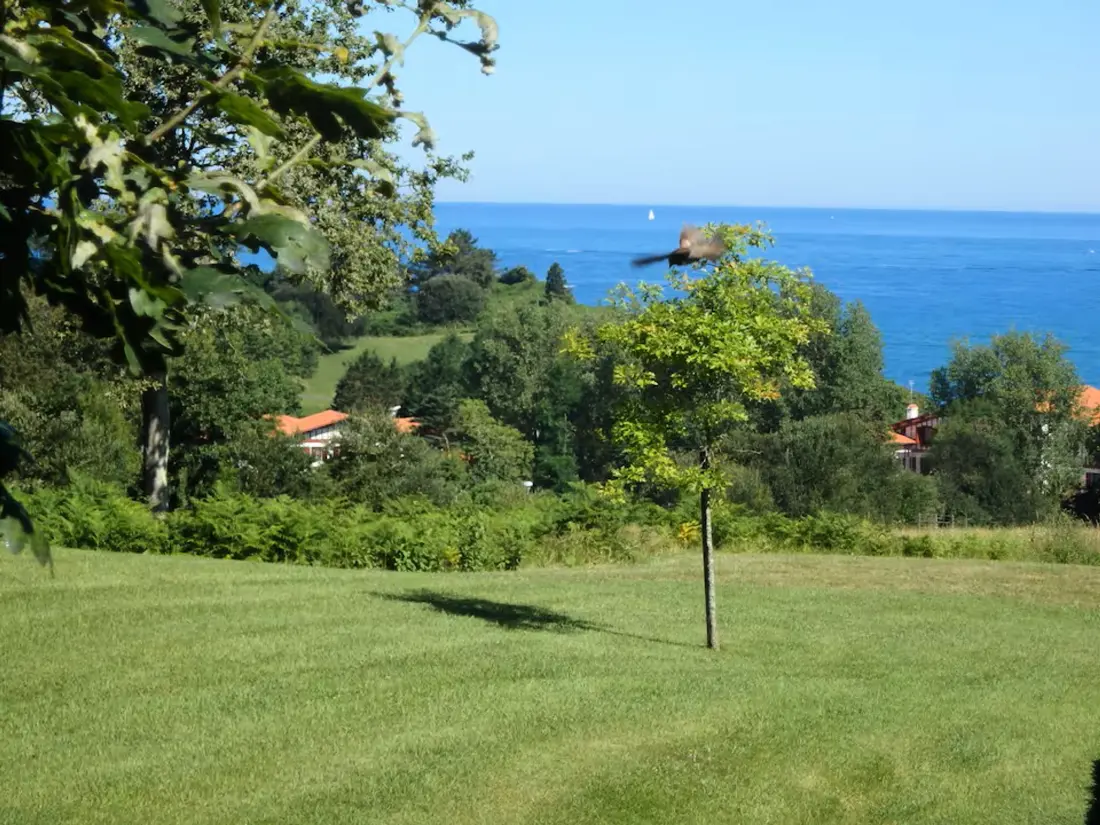 Location de Vacances Urrugne 182