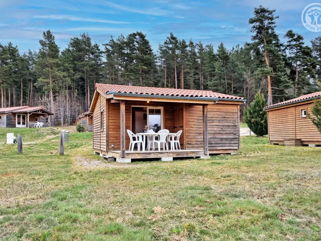 Maison de Vacances USSON-EN-FOREZ 11