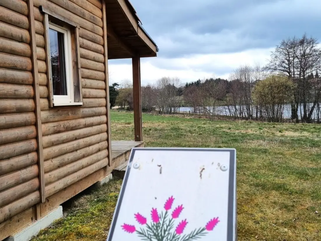 Maison de Vacances USSON-EN-FOREZ 11