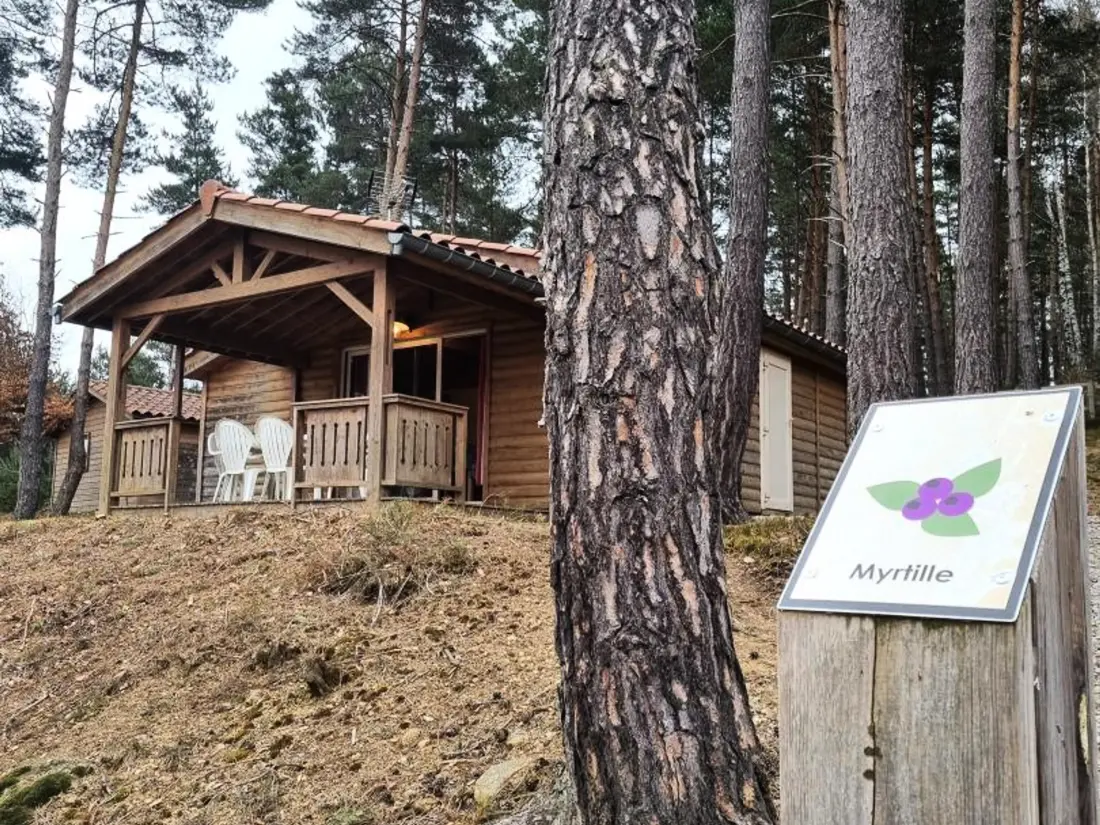 Maison de Vacances USSON-EN-FOREZ 12