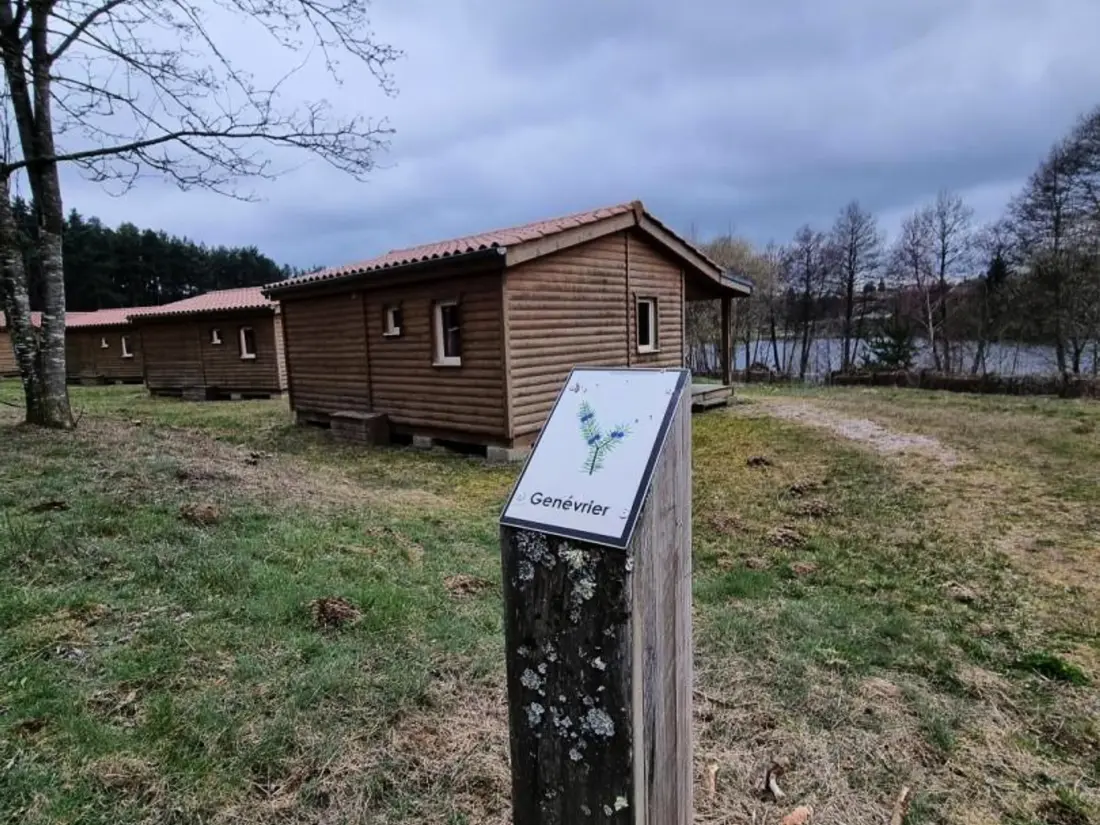 Maison de Vacances USSON-EN-FOREZ 15