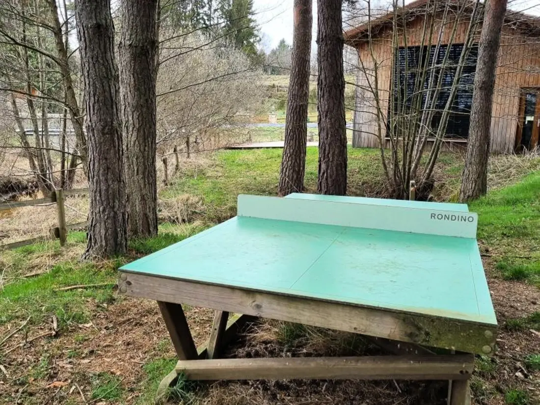 Maison de Vacances USSON-EN-FOREZ 16