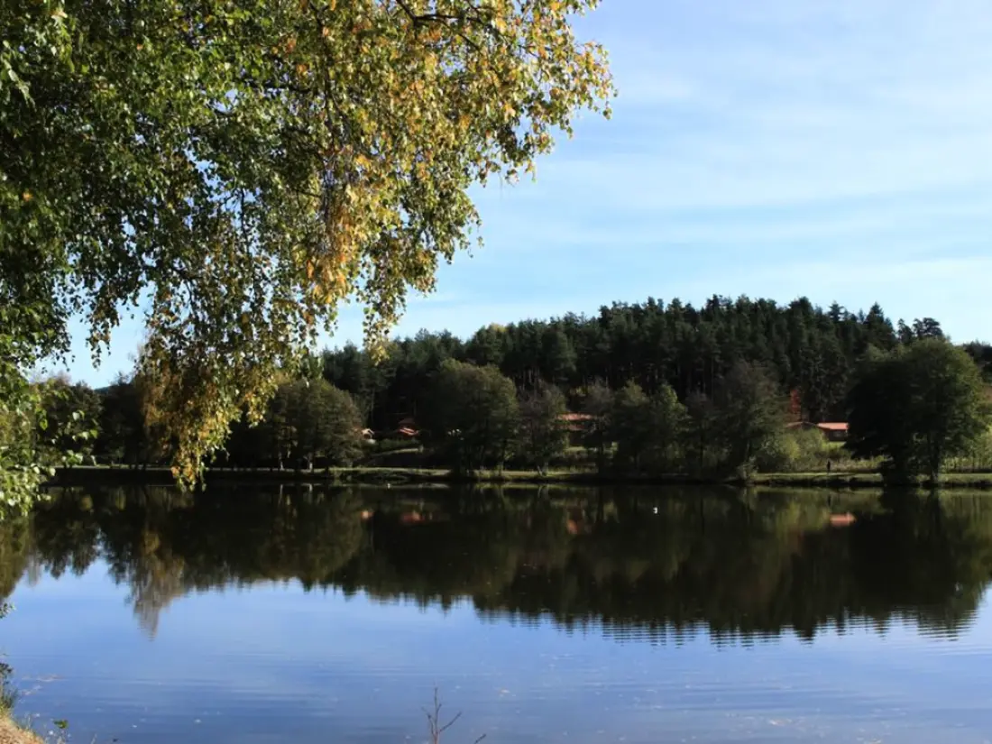 Maison de Vacances USSON-EN-FOREZ 18