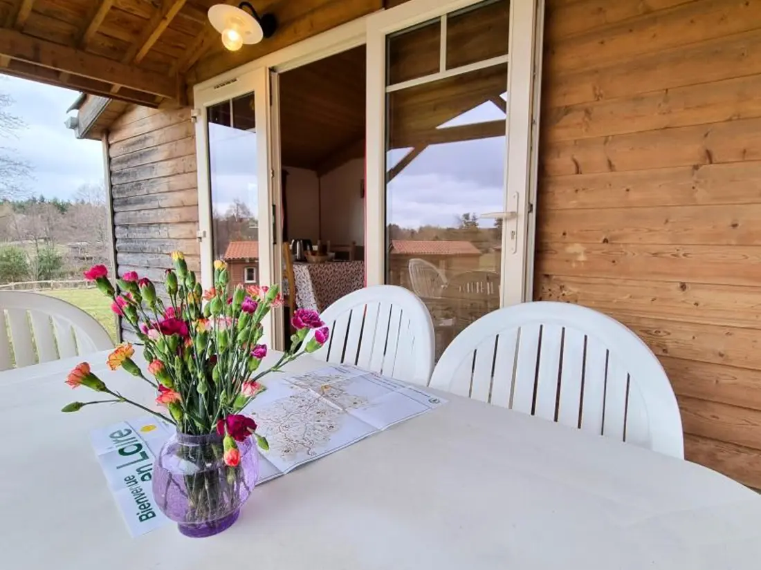Maison de Vacances USSON-EN-FOREZ 5