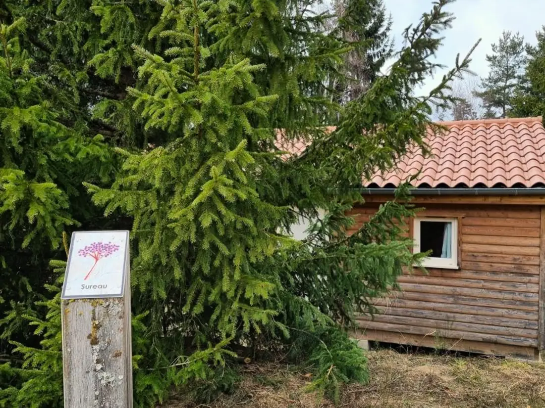 Maison de Vacances USSON-EN-FOREZ 8