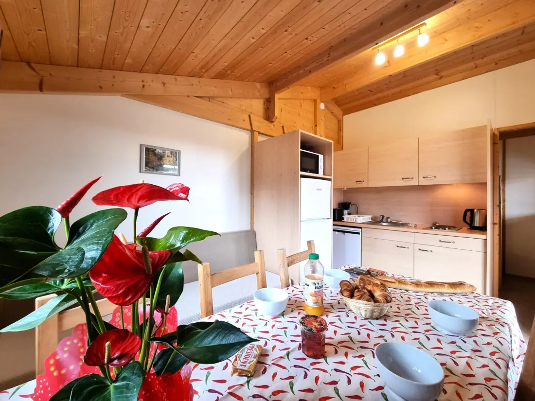 Maison de Vacances USSON-EN-FOREZ 9