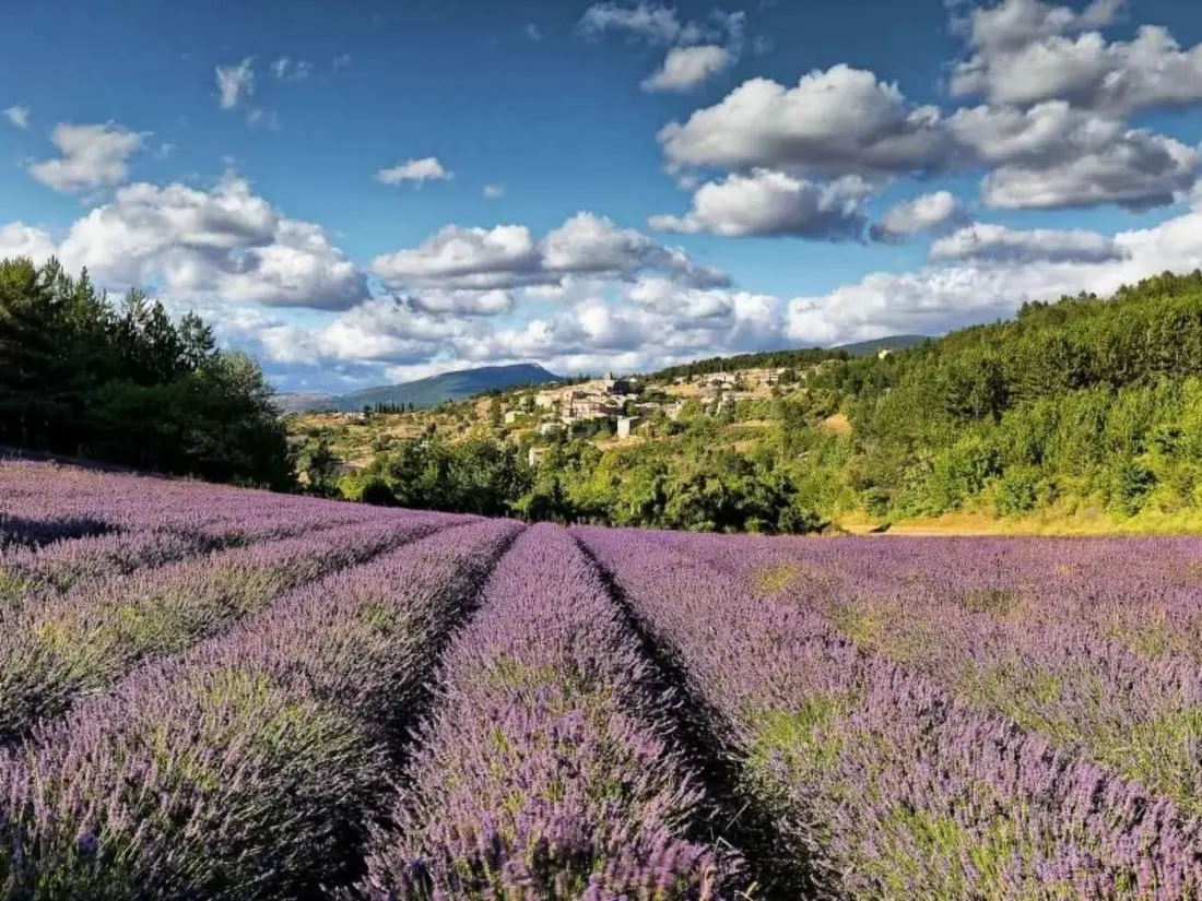 Maison de Vacances Uzès