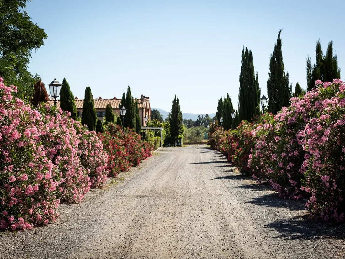 Résidence Borgo Verde