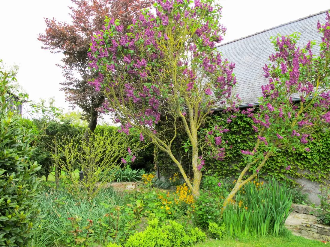 Maison de Vacances Saint Leonard
