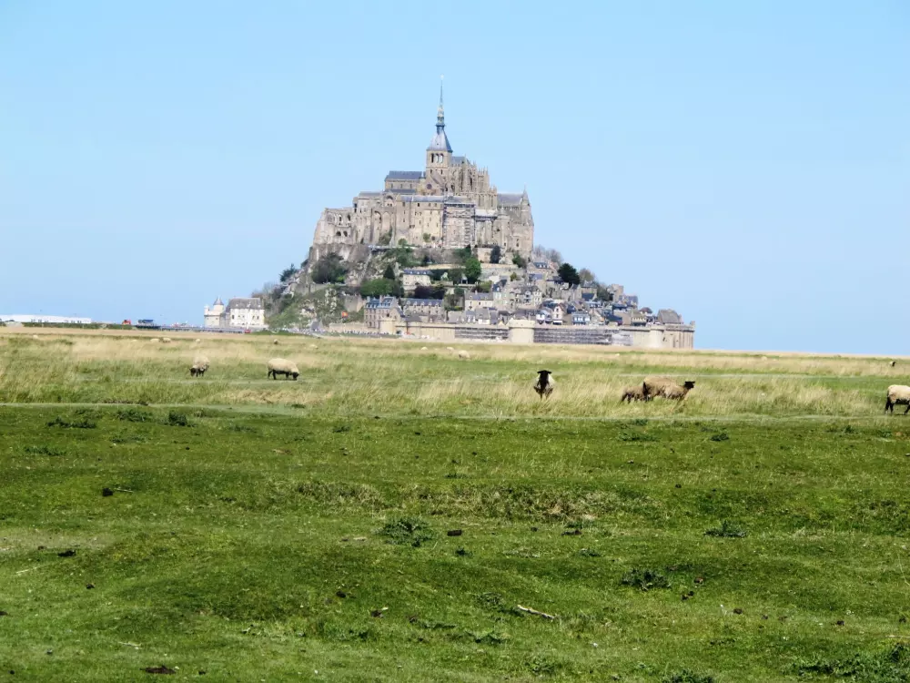 Maison de Vacances Saint Leonard