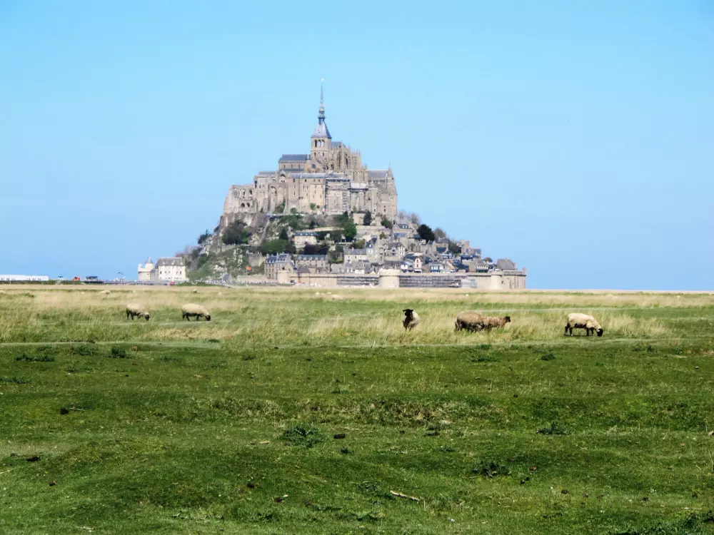 Maison de Vacances Saint Leonard