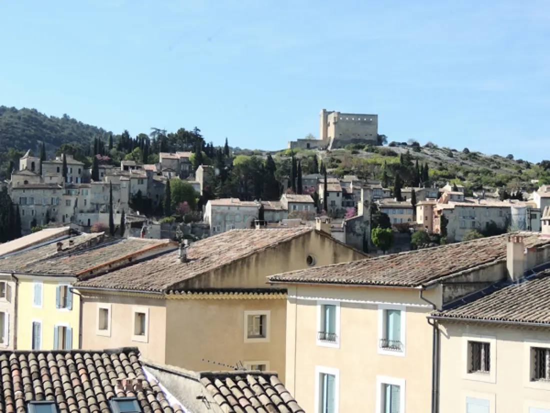 Duplex La Romaine