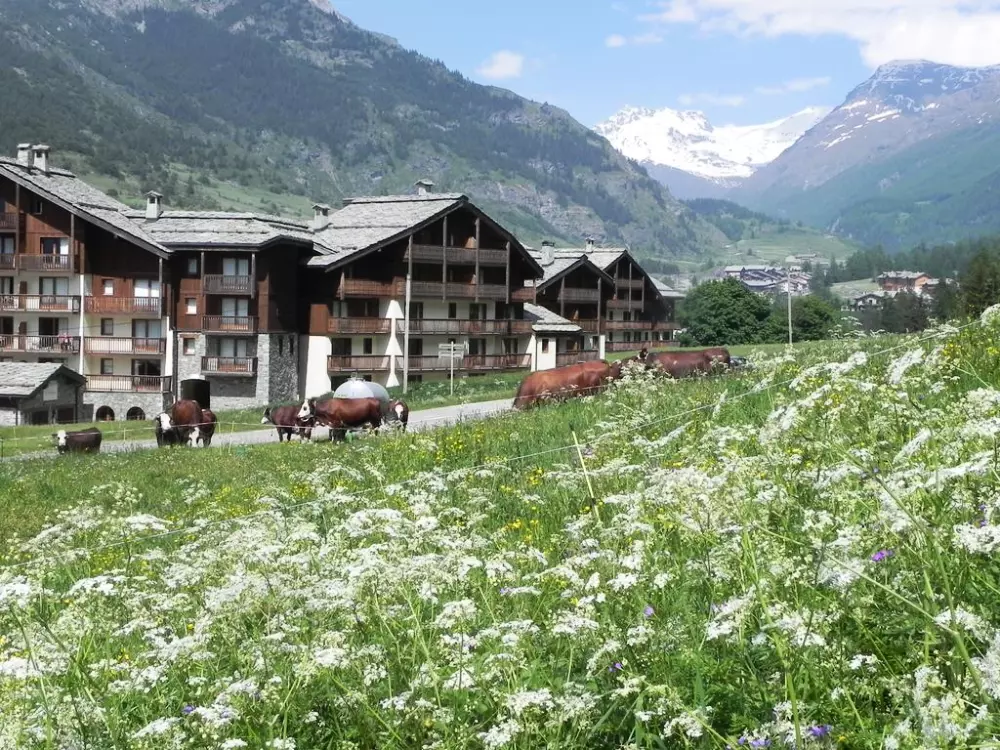Résidence Lagrange Les Valmonts de Val Cenis 3 étoiles★★★