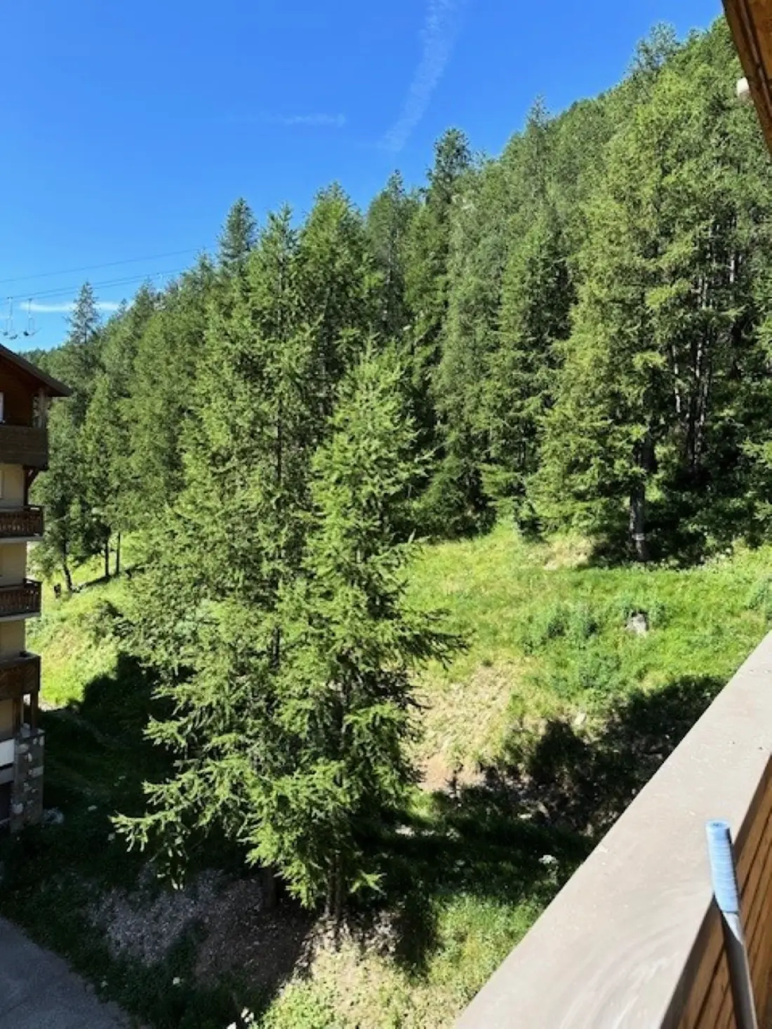 Appartements à Val d'Allos 1800 - La Foux