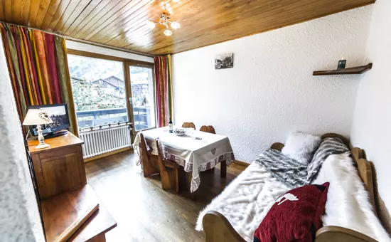 Appartement avec vue magnifique à 80m des pistes