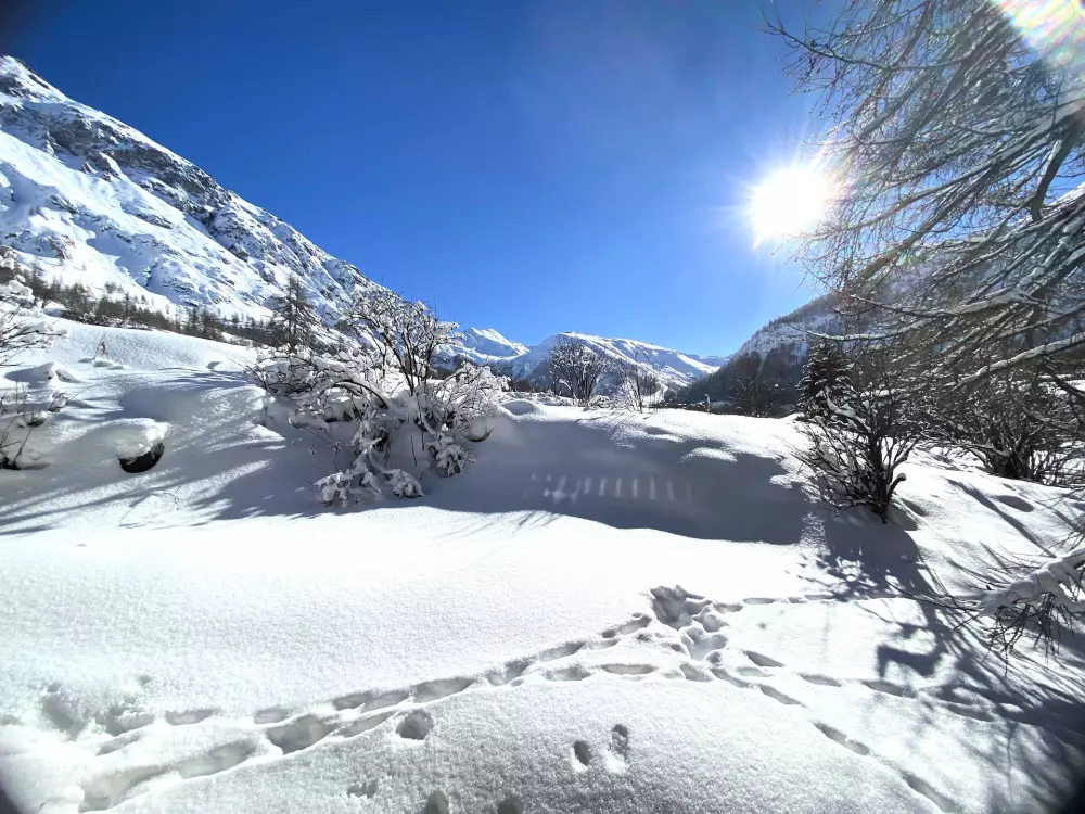 Résidence Saint Michel