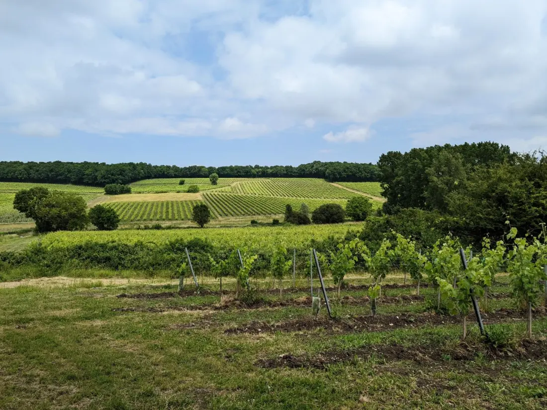 Maison de Vacances VAL DES VIGNES 2