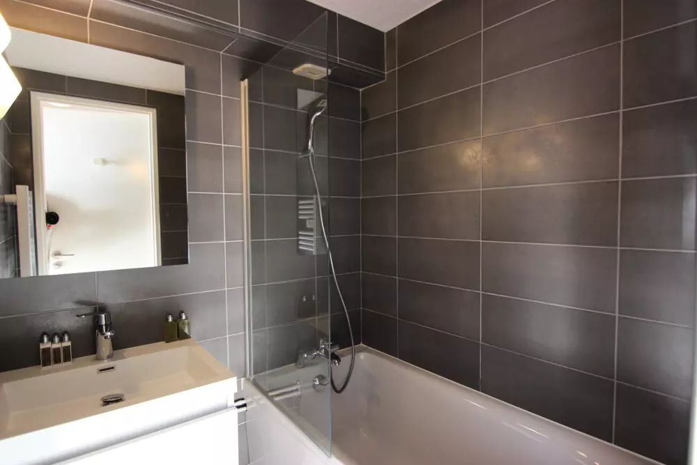 Résidence Silveralp