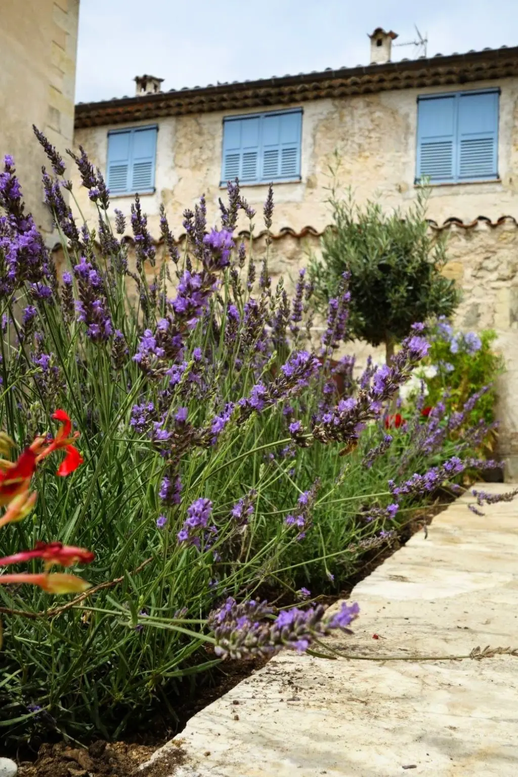 Résidence SCHÖNES STUDIO MIT GARTEN FÜR 2 IM DORF