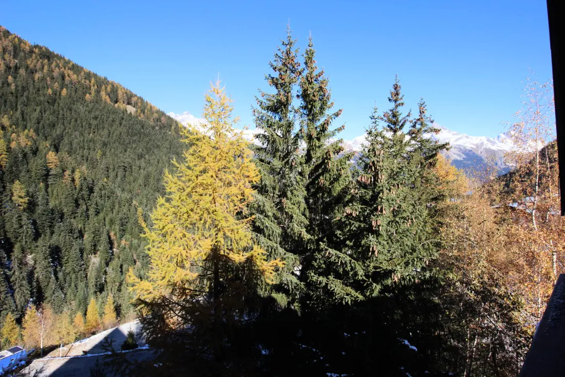 Chalets Du Thabor