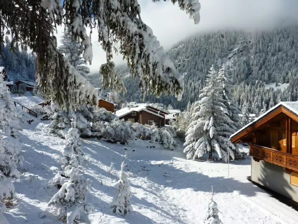 Les Chalets D'arrondaz