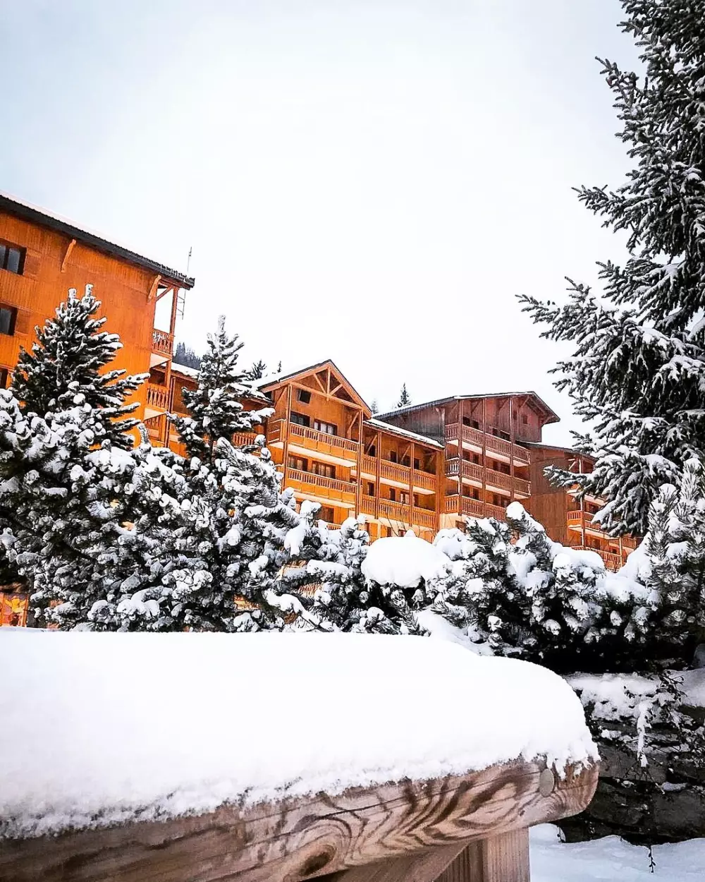 Résidence Les Melezets 1