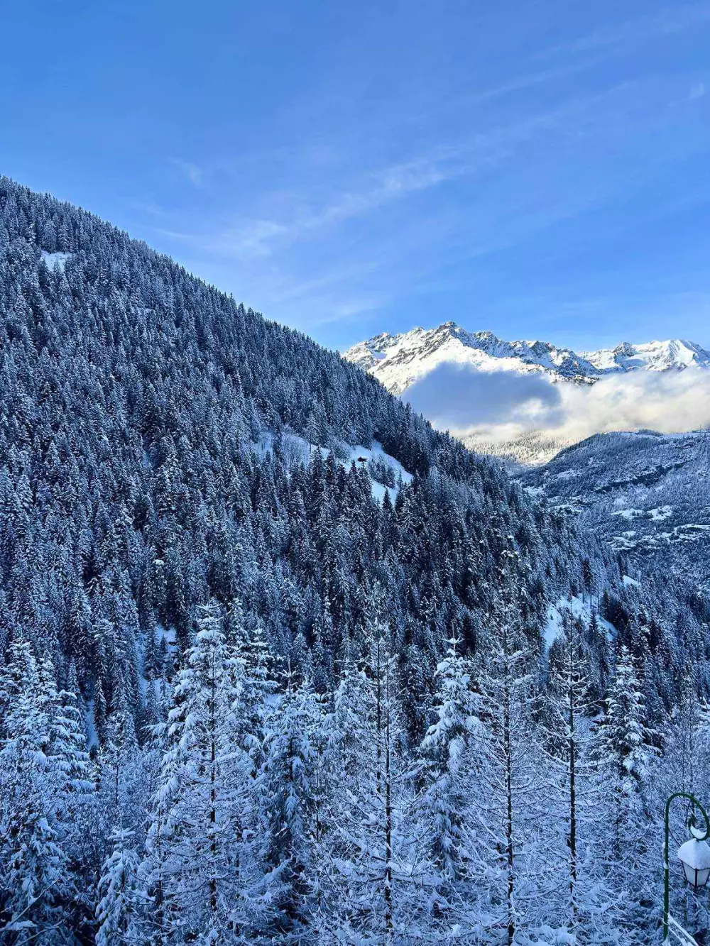 Résidence Vita Parc