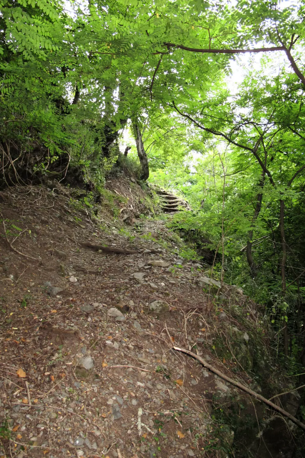 Maison de Vacances Valgorge