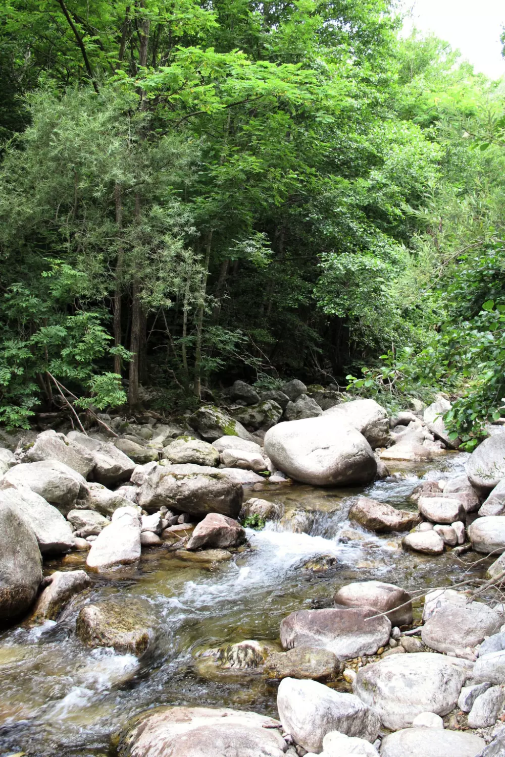 Maison de Vacances Valgorge