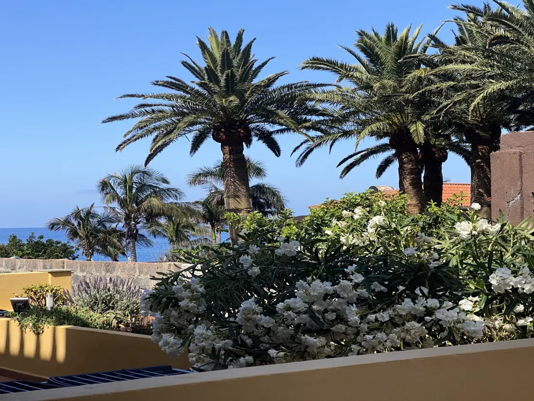 Location de Vacances Valle Gran Rey 75