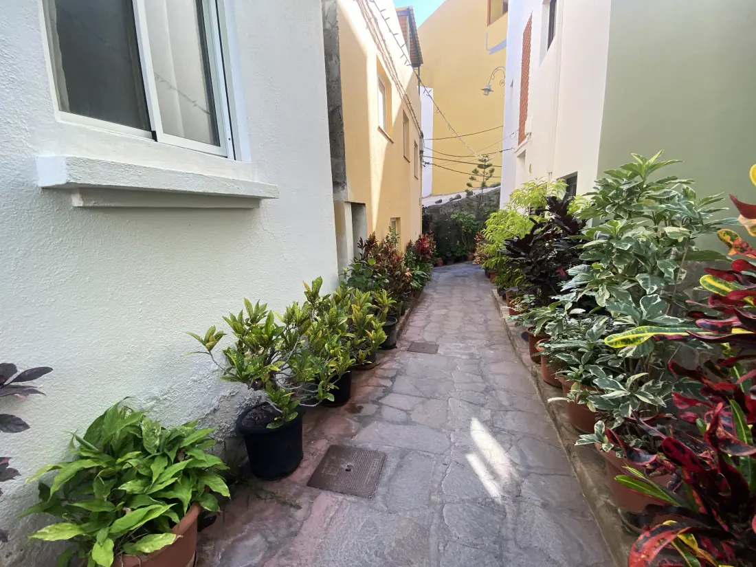 Location de Vacances Valle Gran Rey 81