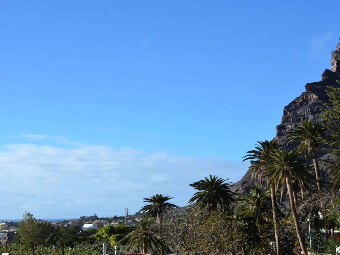 Location de Vacances Valle Gran Rey 88