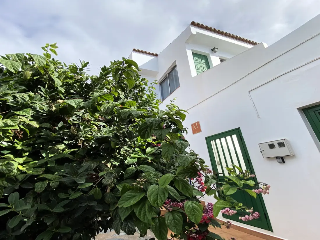 Location de Vacances Valle Gran Rey 94