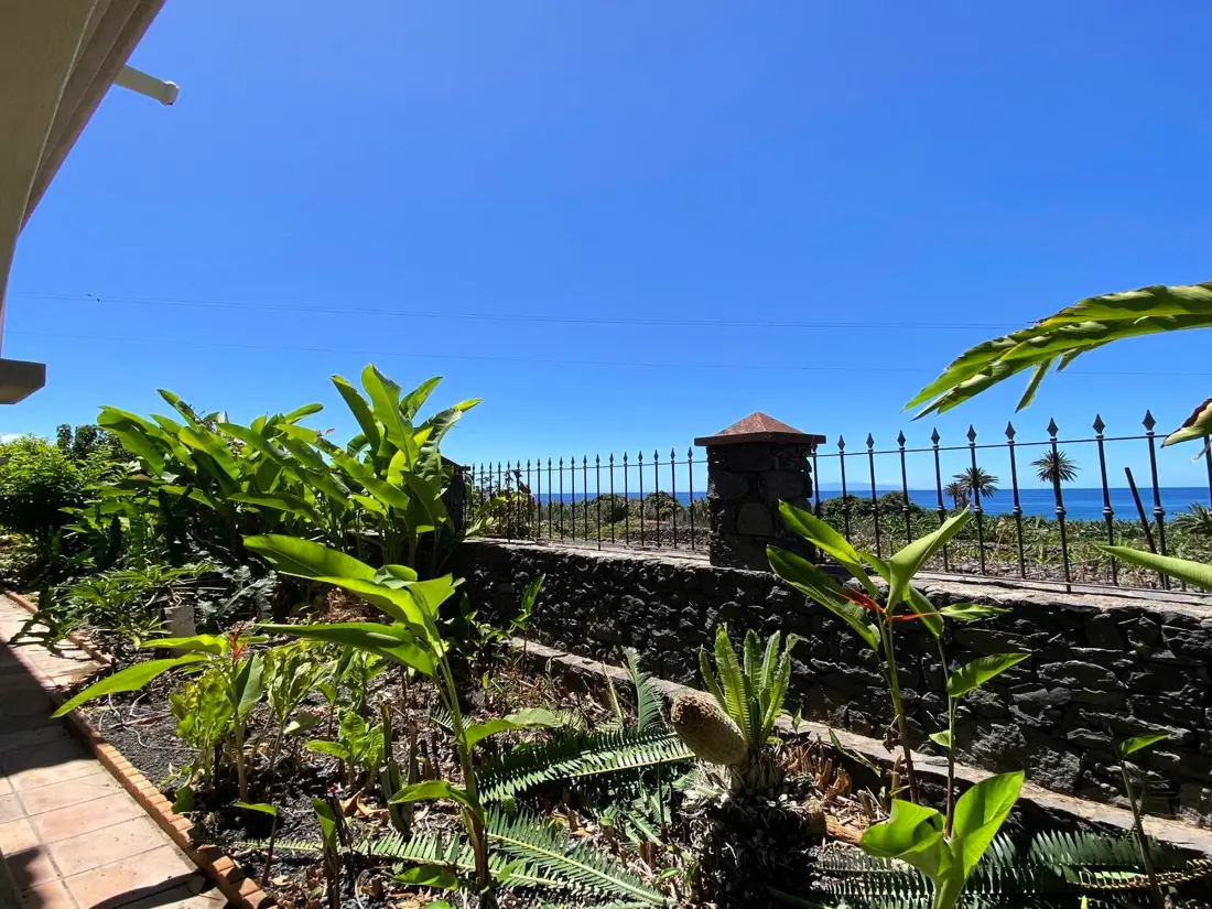 Location de Vacances Valle Gran Rey 31