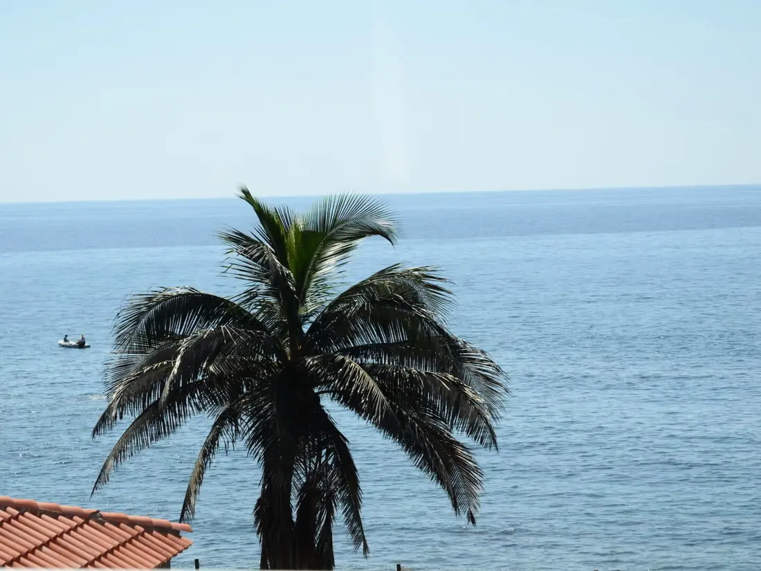 Location de Vacances Valle Gran Rey 47