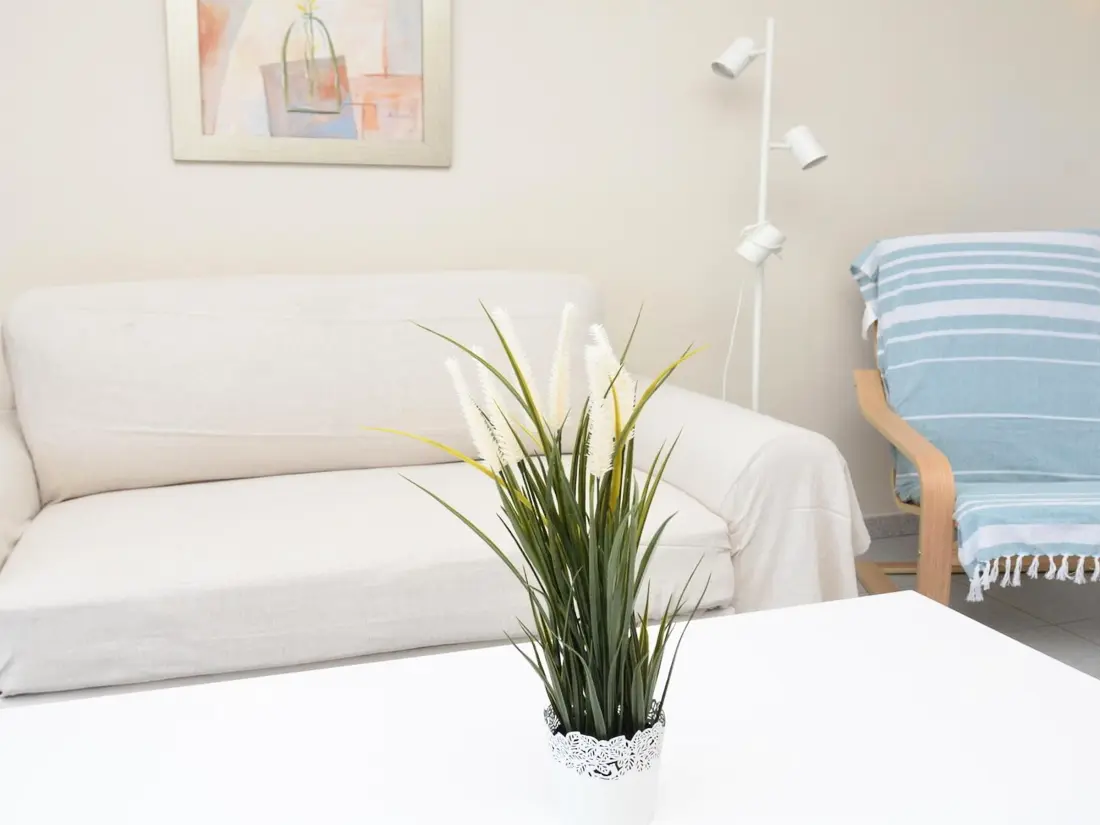 Location de Vacances Valle Gran Rey 47