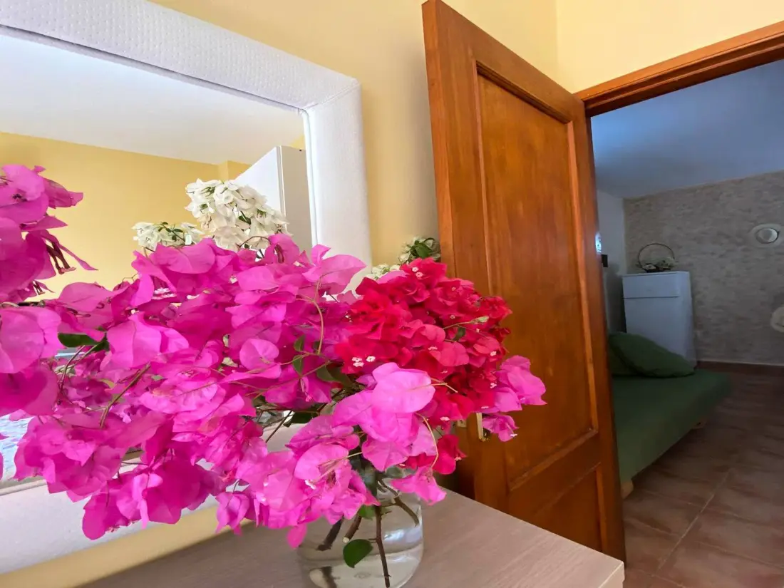 Location de Vacances Valle Gran Rey 48