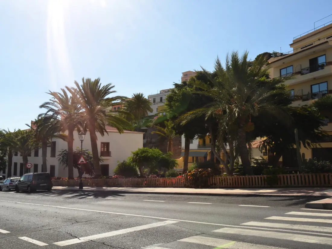 Location de Vacances Valle Gran Rey 60