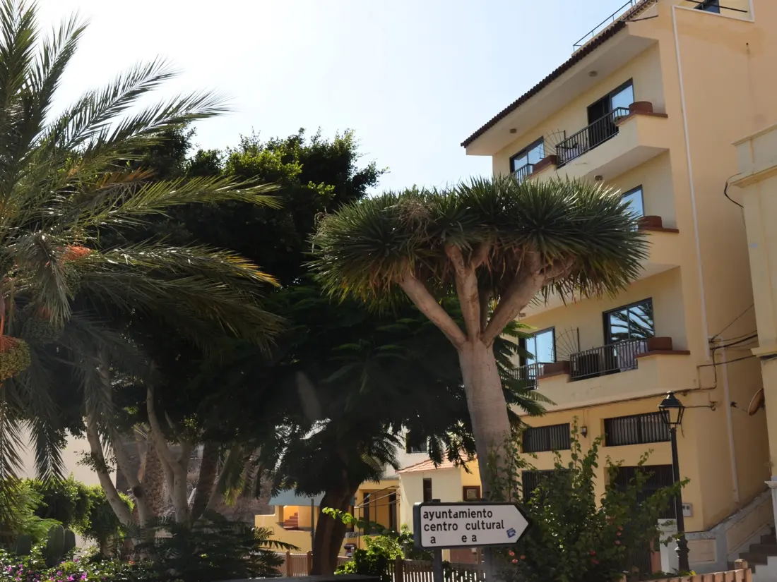 Location de Vacances Valle Gran Rey 60