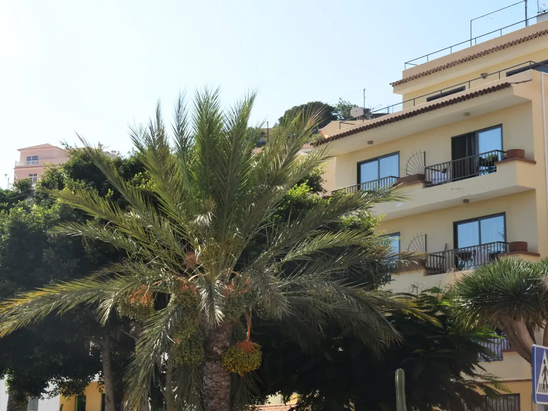 Location de Vacances Valle Gran Rey 60