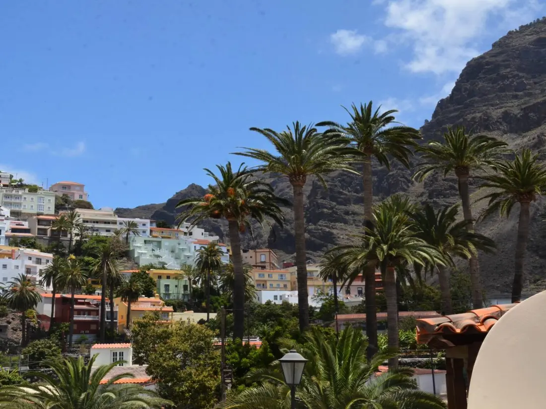 Location de Vacances Valle Gran Rey 63