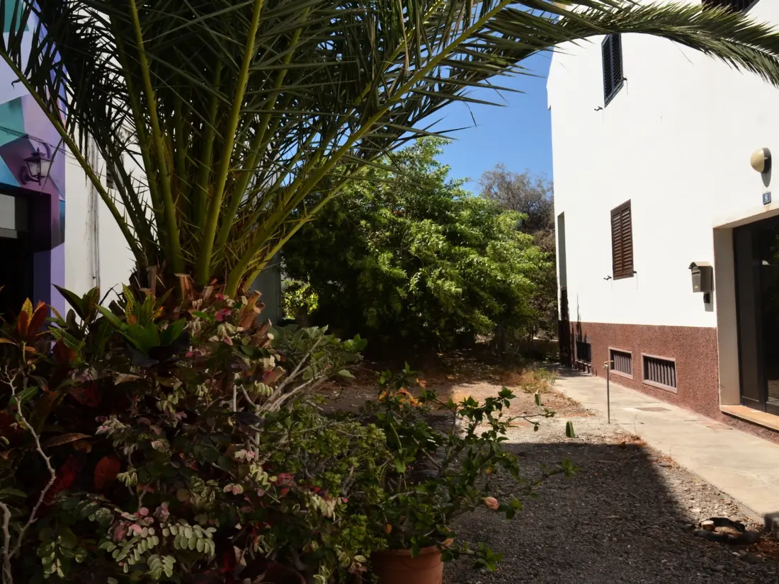 Location de Vacances Valle Gran Rey 66