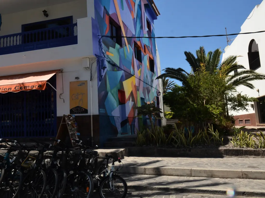 Location de Vacances Valle Gran Rey 66