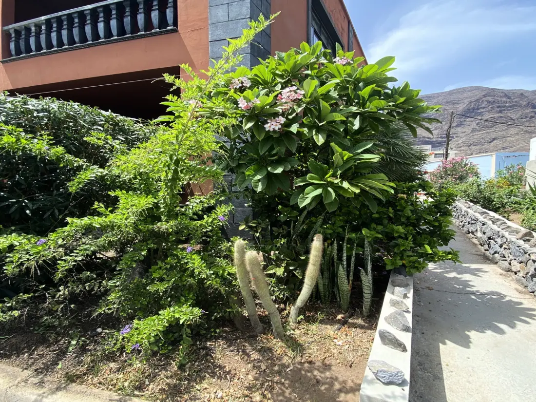 Location de Vacances Valle Gran Rey 69